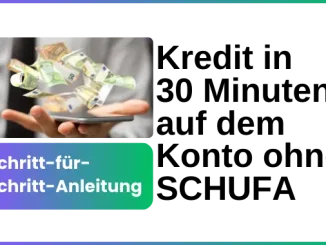 Kredit in 30 Minuten auf dem Konto ohne SCHUFA