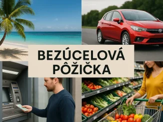 Bezúčelová pôžička