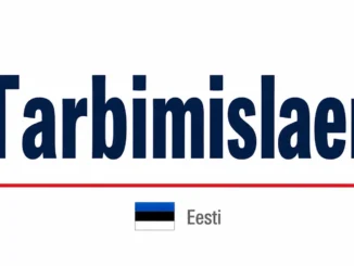 Tarbimislaen
