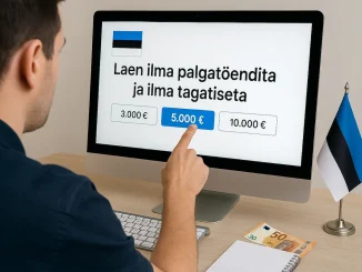 Laen ilma palgatõendita ja ilma tagatiseta