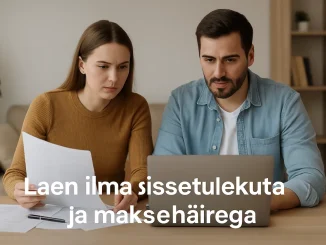 Laen ilma sissetulekuta ja maksehäirega