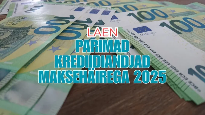 Parimad krediidiandjad maksehäirega