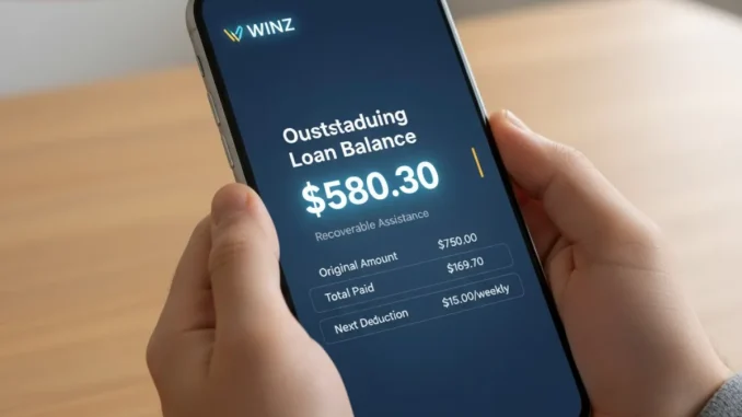 How to Check My WINZ Advance Payment Balance Online (NZ Guide)