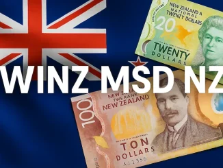 WINZ MSD NZ Loans