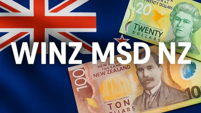 WINZ MSD NZ Loans