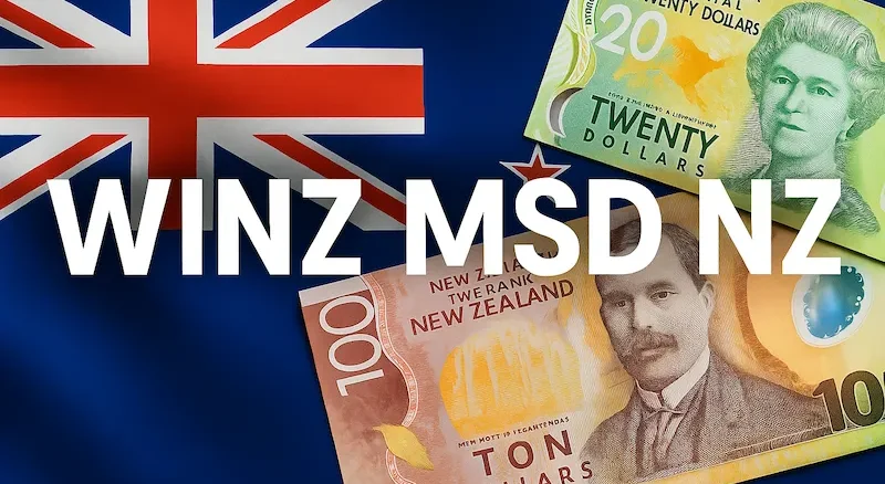 WINZ MSD NZ Loans