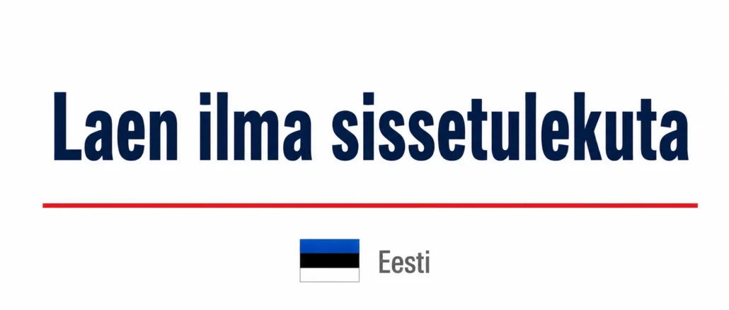 Laen ilma sissetulekuta