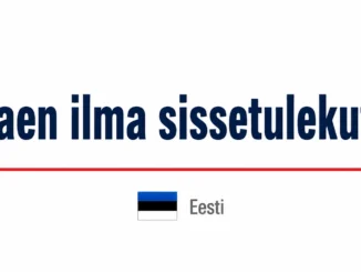 Laen ilma sissetulekuta