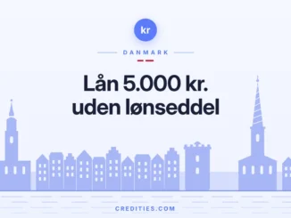Lån 5.000 kr. uden lønseddel: Ydelse, ÅOP og krav